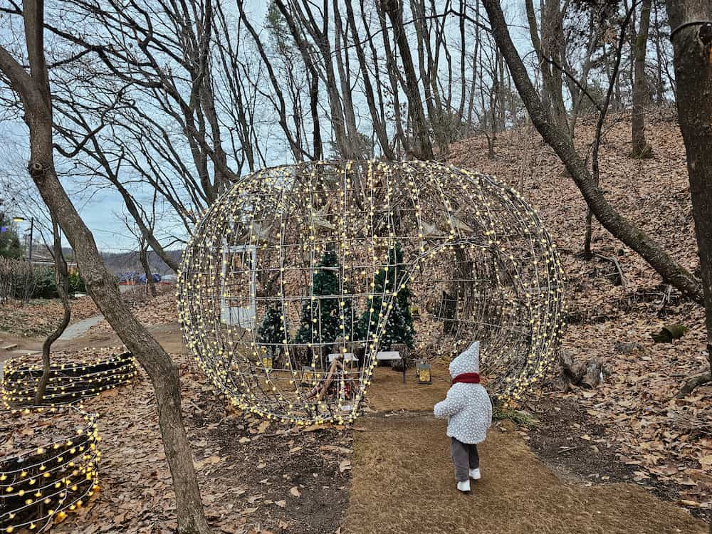 별빛정원우주 19