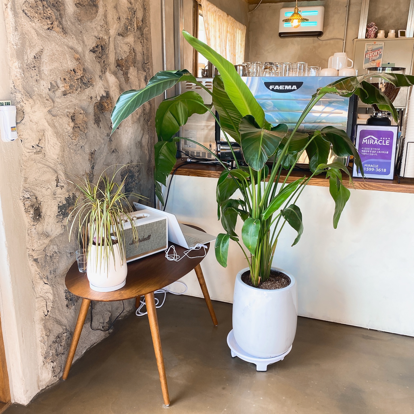 제주 서귀포 성산 혼인지 돌창고 개조 돌집 카페 고요히