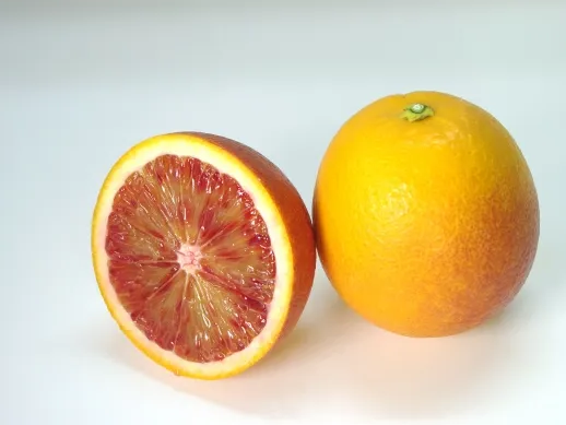 염증 반응 완화에 도움을 주는 모로 오렌지