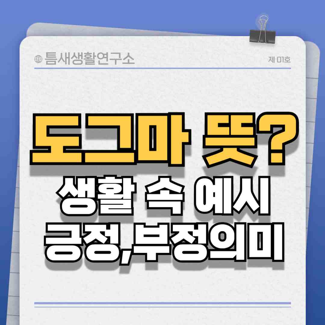 도그마뜻-썸네일