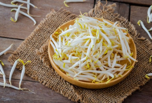 콩나물 효능 칼로리 부작용 총정리