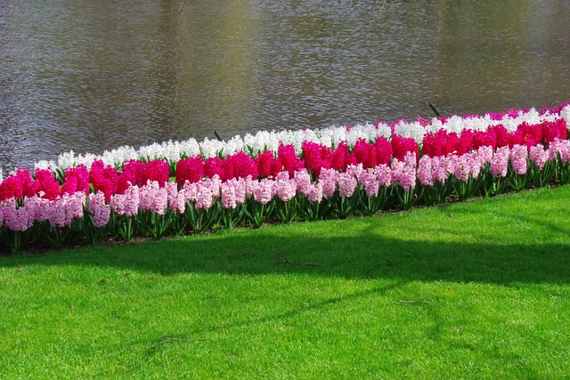 황금연휴에 떠나는 유럽 여행