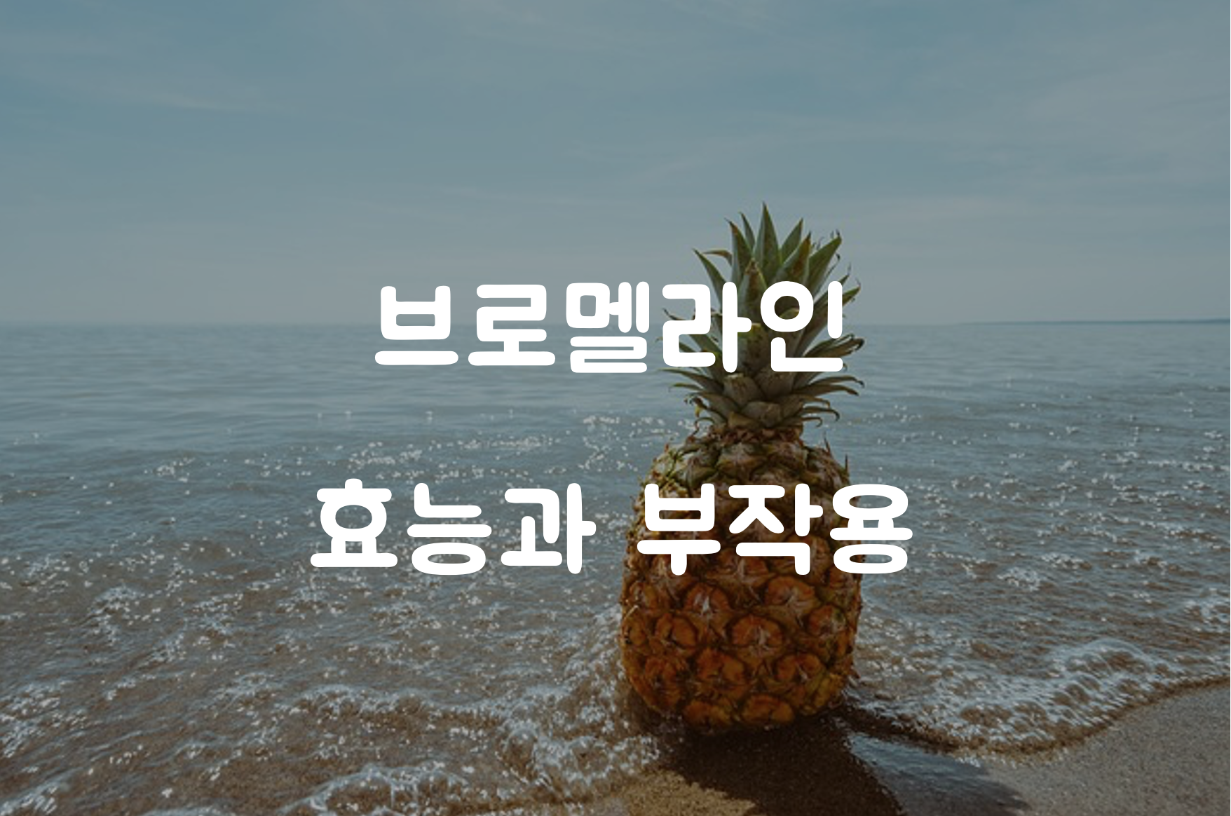 브로멜라인 효능과 부작용