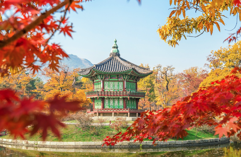 2024 숙박 세일 페스타 쿠폰 다운로드 방법 1분컷 받기