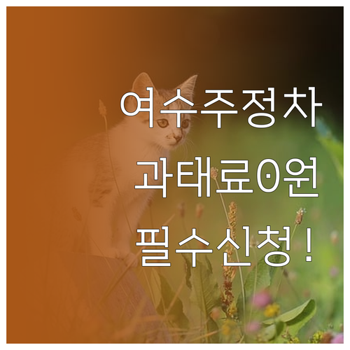 여수시 주정차 단속 알림 서비스 총정..
