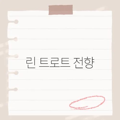 린 트로트 전향, 발라드 여왕 린이 트로트로 전향한 이유​