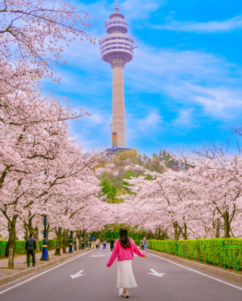 이월드 블라썸 피크닉5