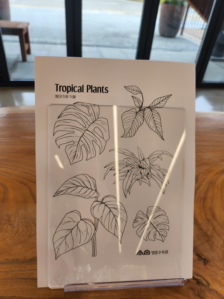 색칠 놀이 도안