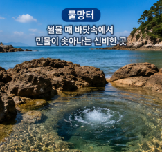삽시도 배편은 어떻게 이용할까요2