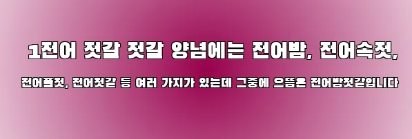  1전어 젓갈 젓갈 양념에는 전어밤, 전어속젓, 전어풀젓, 전어젓갈 등 여러 가지가 있는데 그중에 으뜸은 전어밤젓갈입니다