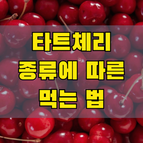 타트체리 먹는 법 완벽 가이드!