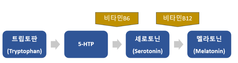 멜라토닌 melatonin 서방정 전문의약품 건강기능식품 건강식품 수면 불면증 영양제
