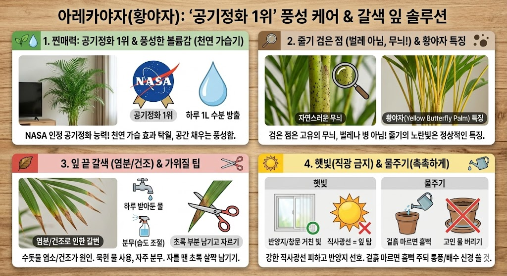 아레카야자 특징 설명