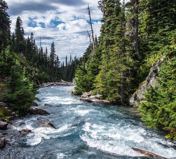 계절마다 다른 얼굴, 계절별 국내 미개발 관광지 3선