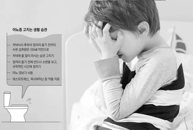 밤에 소변이 자주 마려운 증상