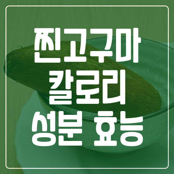 찐고구마 칼로리 성분 효능