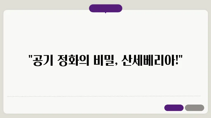 산세베리아의 성장관리법