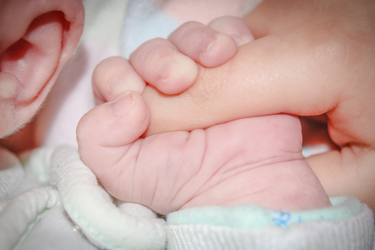 시기별 영유아 소근육 발달 가이드