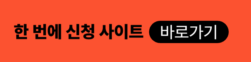 임산부-철분제
