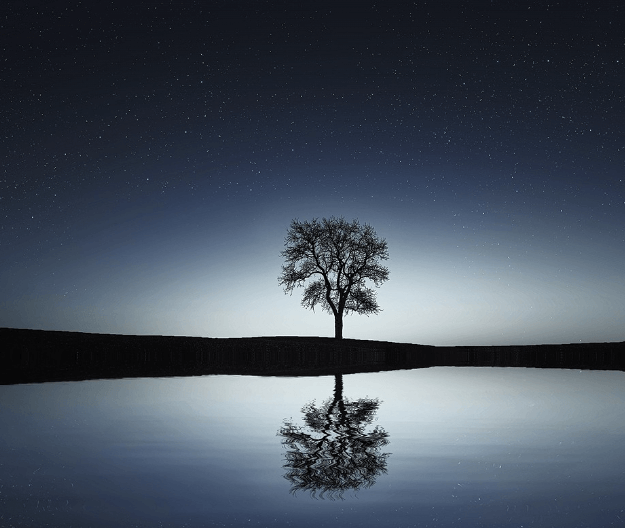 별보는 꿈해몽 풀이