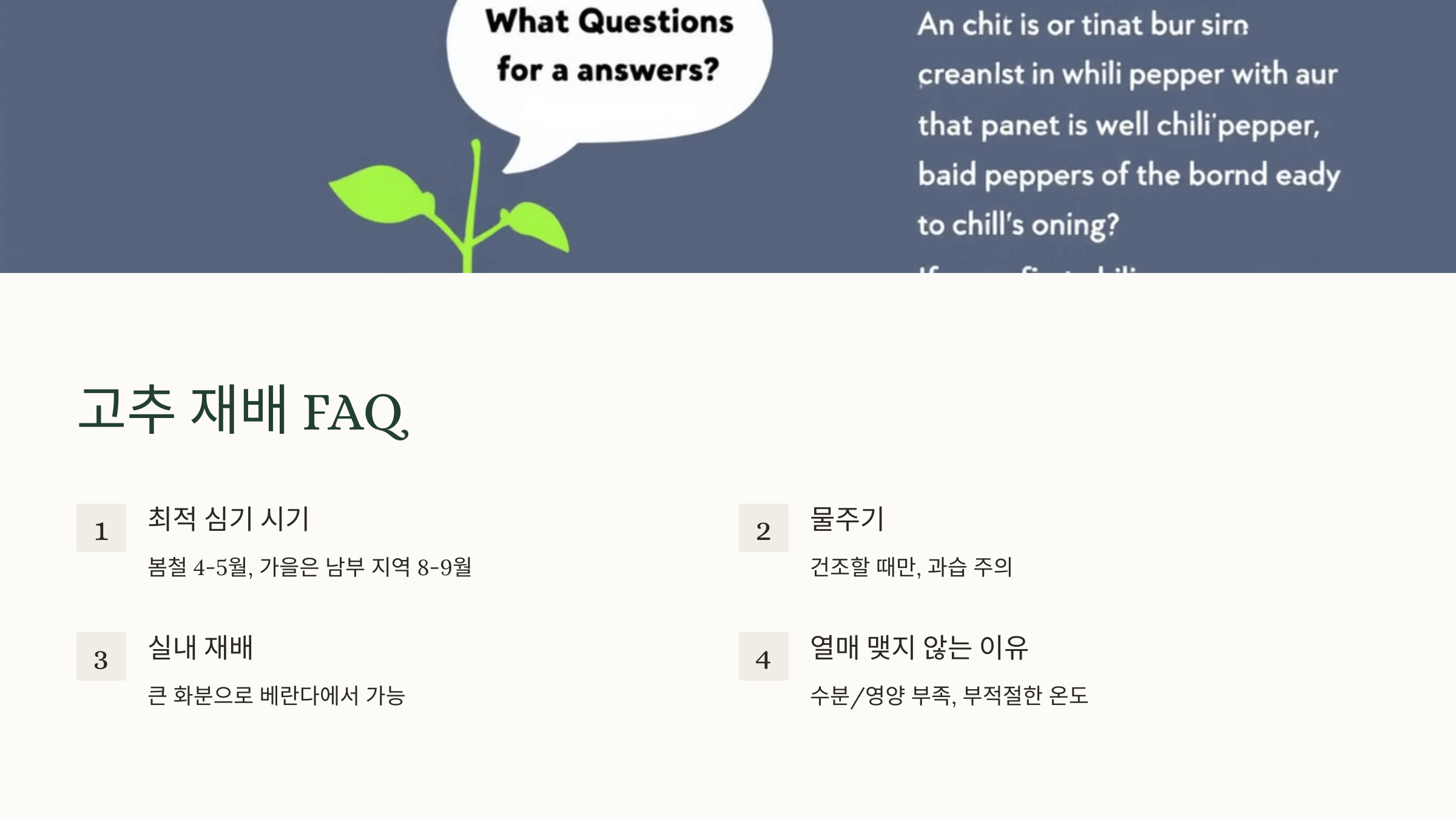 고추 사진입니다.