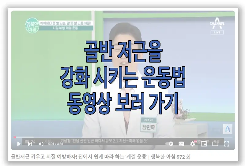 골반 저근 운동 방법에 관련한 동영상 보러 가기 링크 사진