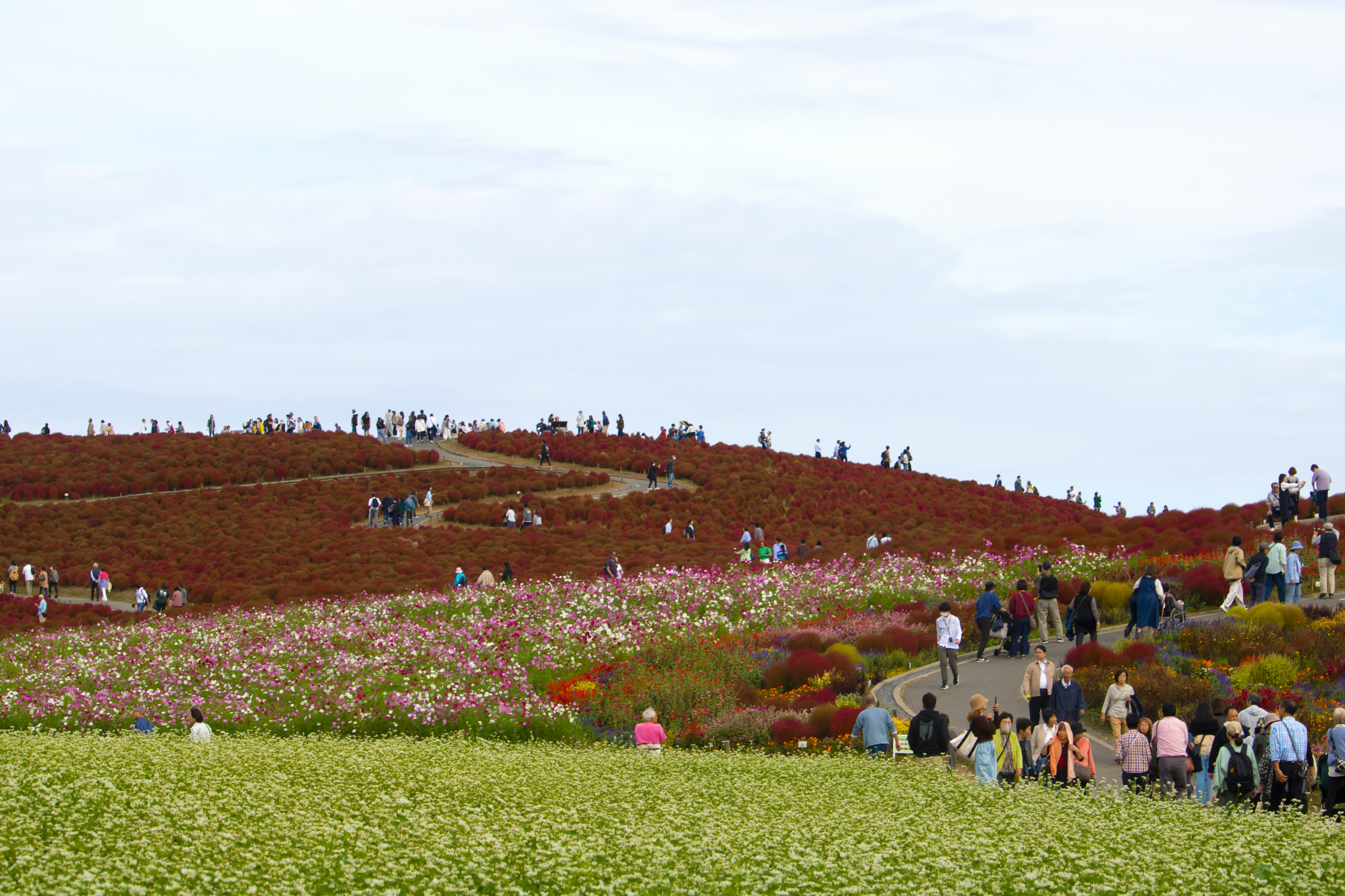 홋카이도 자유 및 패키지 여행 (+ 준비물 온천)