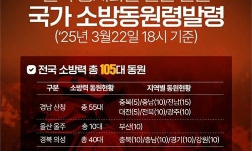 국가소방동원령 발령 절차