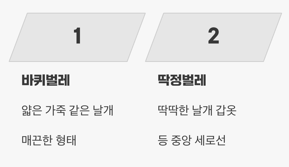 가장 결정적인 차이, '날개'의 갑옷
