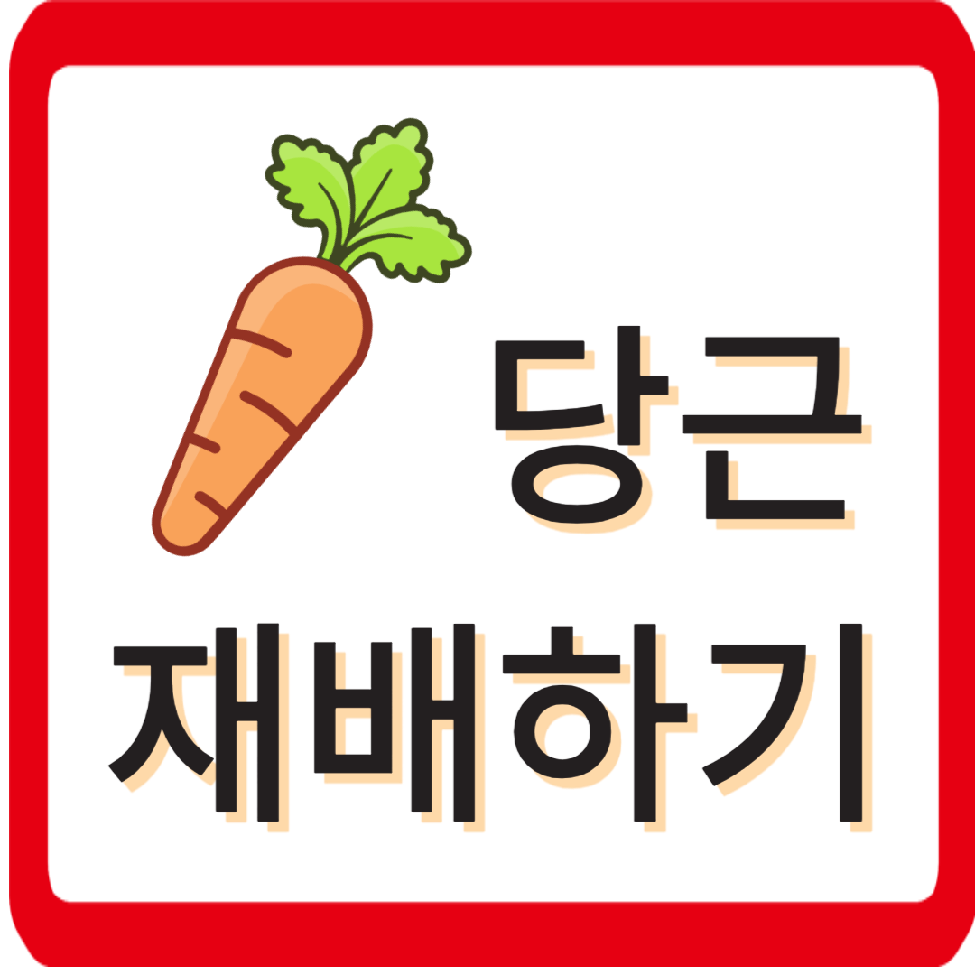 당근 재배하기