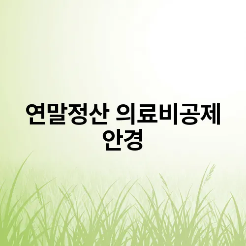 연말정산 의료비공제 안경