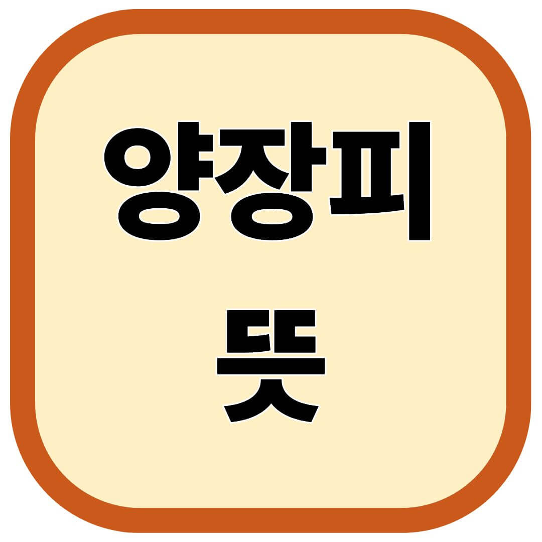 양장피 뜻