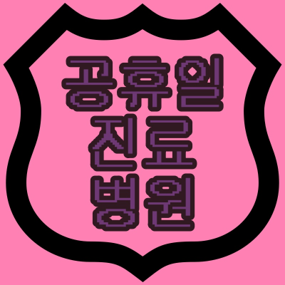 광주 공휴일 병원