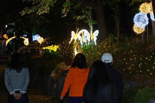 2025 남동 빛의 거리｜만수천&middot;서창지구&middot;도림동 빛축제 총정리 (포토 안내)