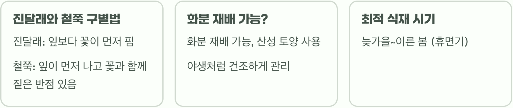 우리 꽃 진달래 키우기 A to Z (묘목 심기, 물주기, 가지치기 총정리)