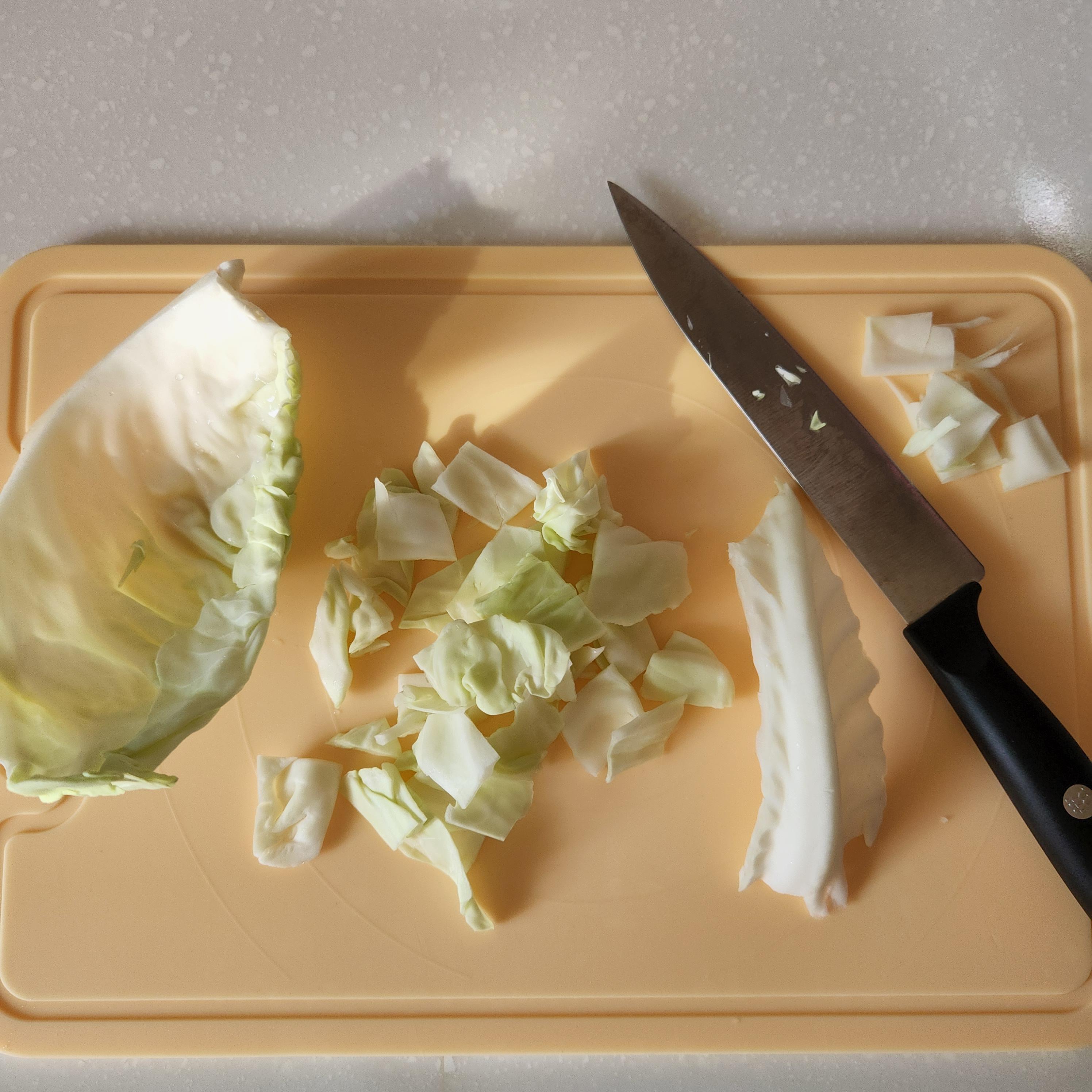 초기이유식재료 양배추