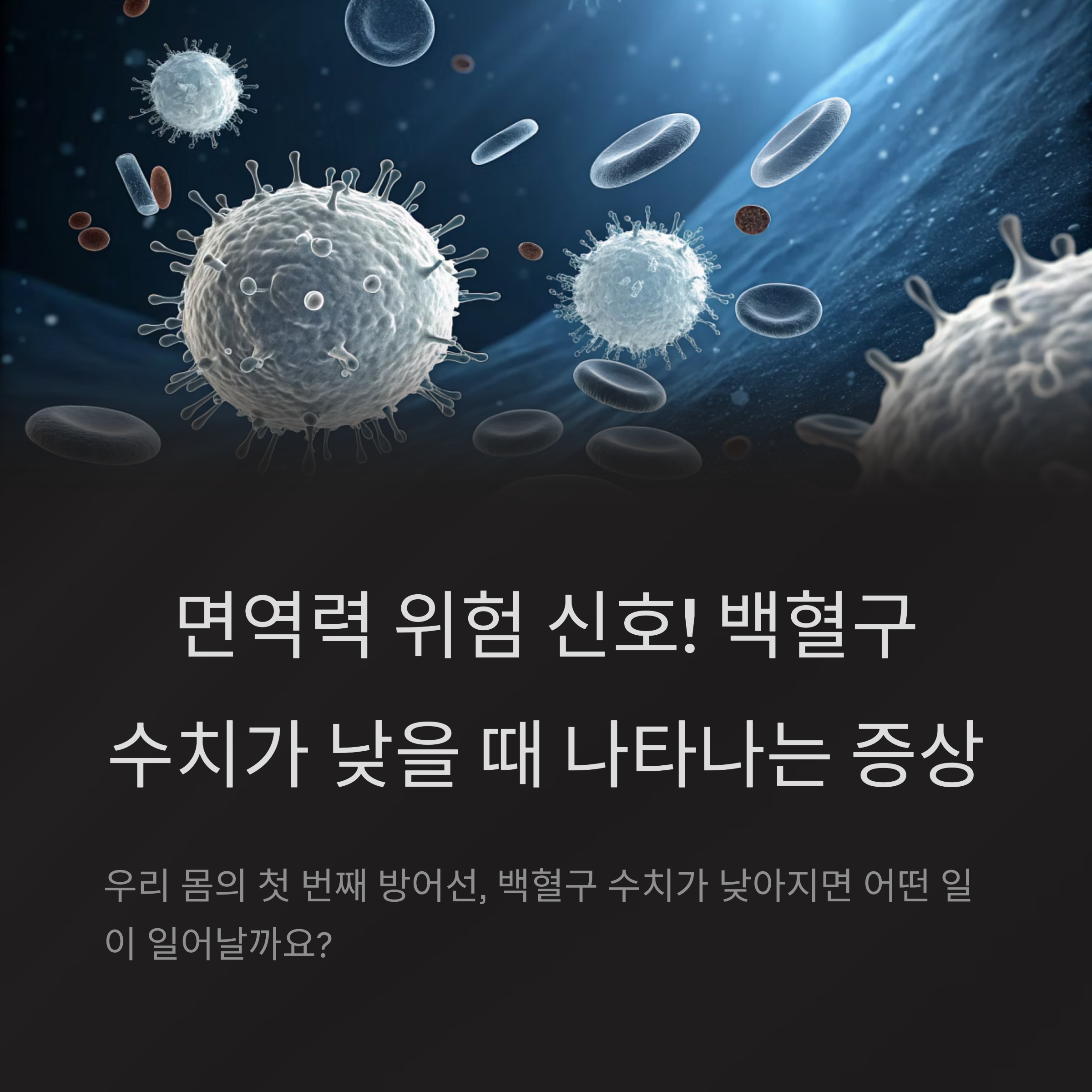 백혈구