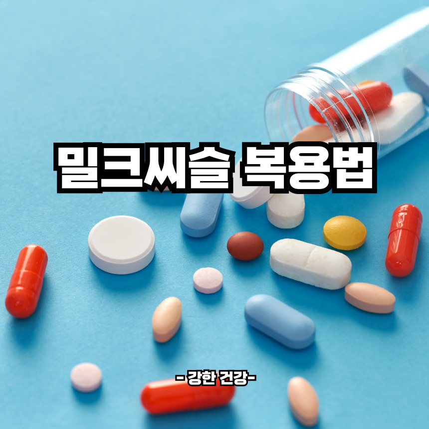 밀크씨슬 복용법