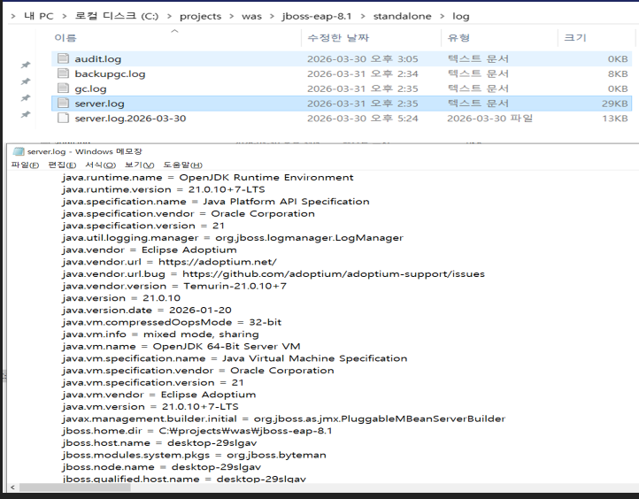JBOSS SERVER.LOG