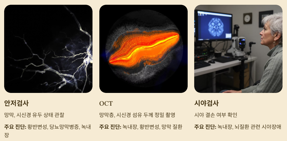 안과 정밀검진 항목