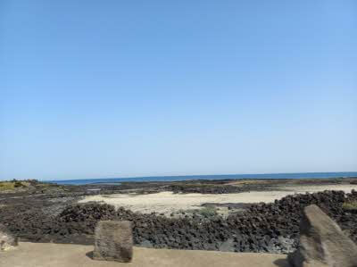 해수욕장 개장일