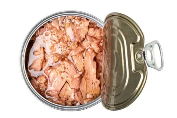 고양이-주면-안되는음식-참치캔