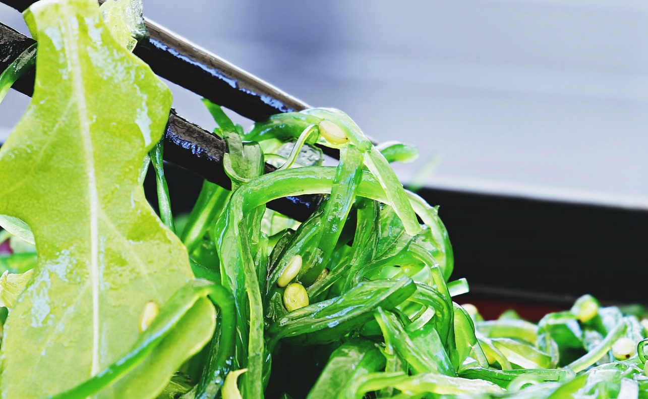 암 예방에 도움 되는 해조류