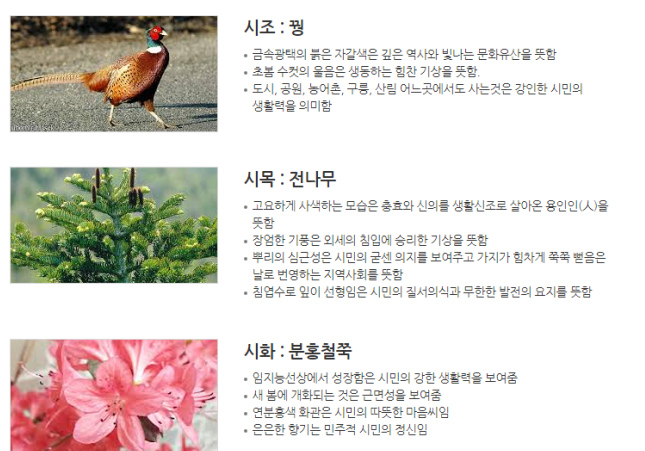 용인시 시조 시목 시화