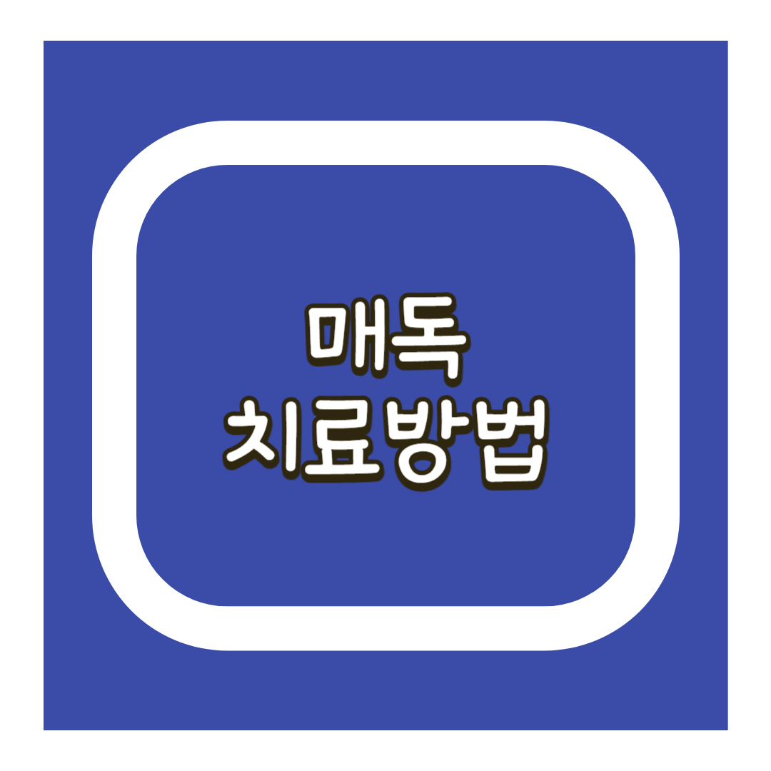 매독치료방법