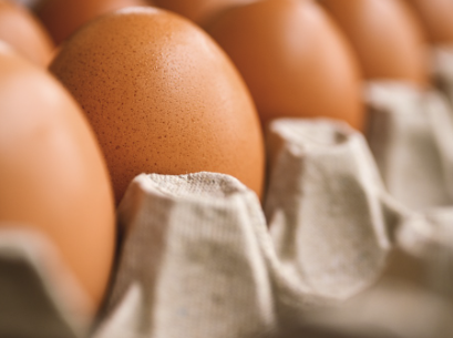 멜라토닌 많은 음식 16