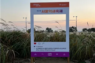 서울억새축제