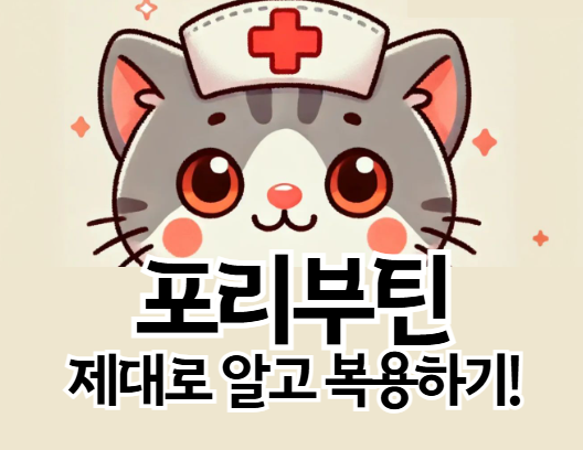 포리부틴정 복용법과 부작용 총정리｜장트러블 있을 때 꼭 알아야 할 꿀팁