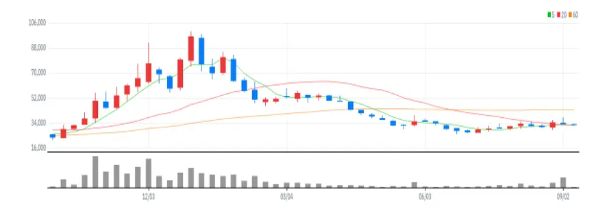 네오위즈홀딩스 주봉
