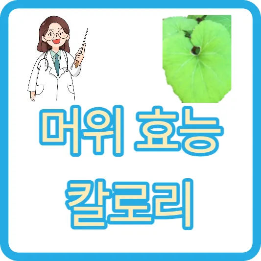 머위 머위대 머위나물 머위꽃 머위잎 효능 및 칼로리